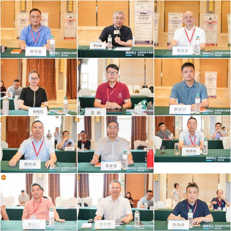 伟杰信猪批次化生产方案发布，配种率和妊娠率可提高15-20%