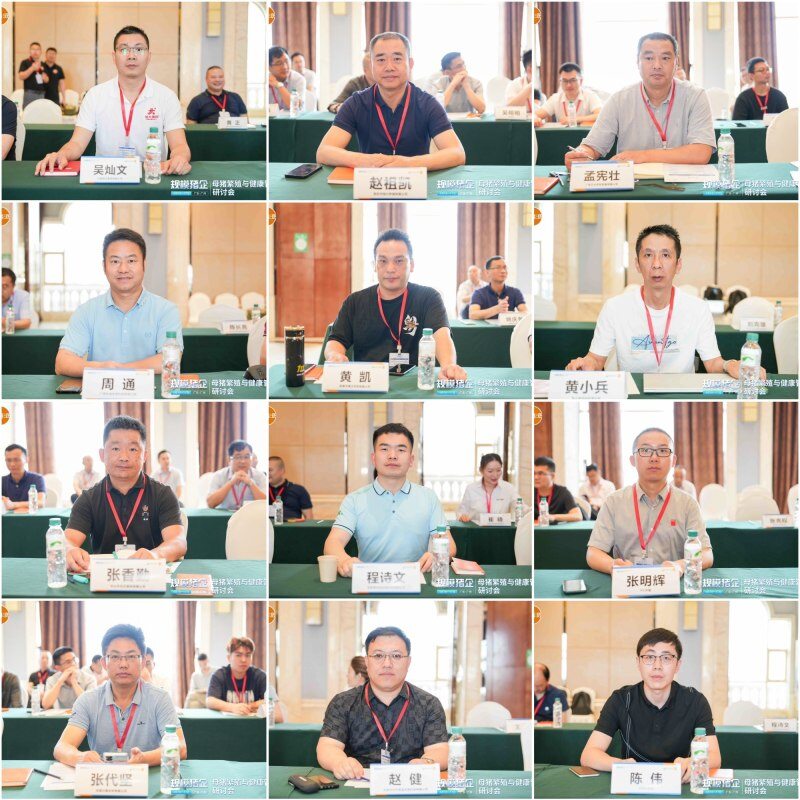 伟杰信猪批次化生产方案发布，配种率和妊娠率可提高15-20%