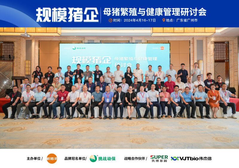 伟杰信猪批次化生产方案发布，配种率和妊娠率可提高15-20%