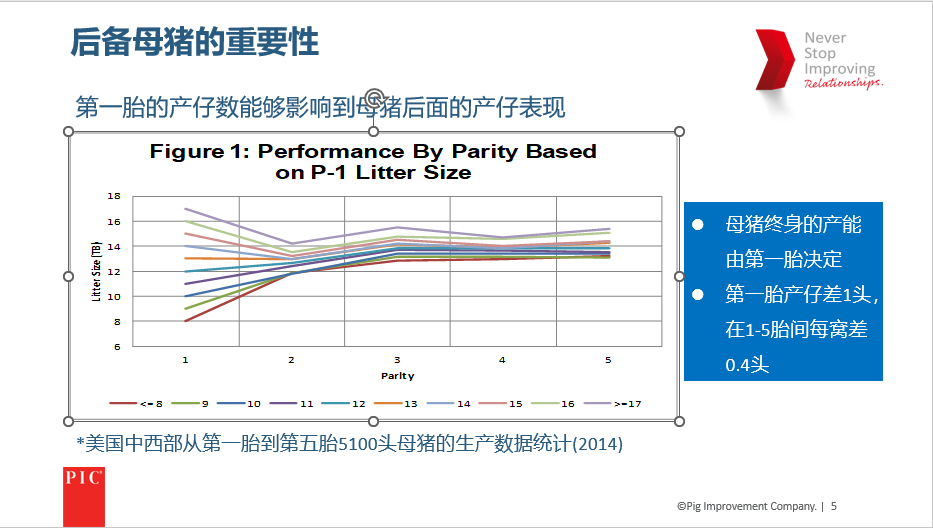 一胎终胎！实现母猪场生产效率最大化要从后备母猪的培育工作开始