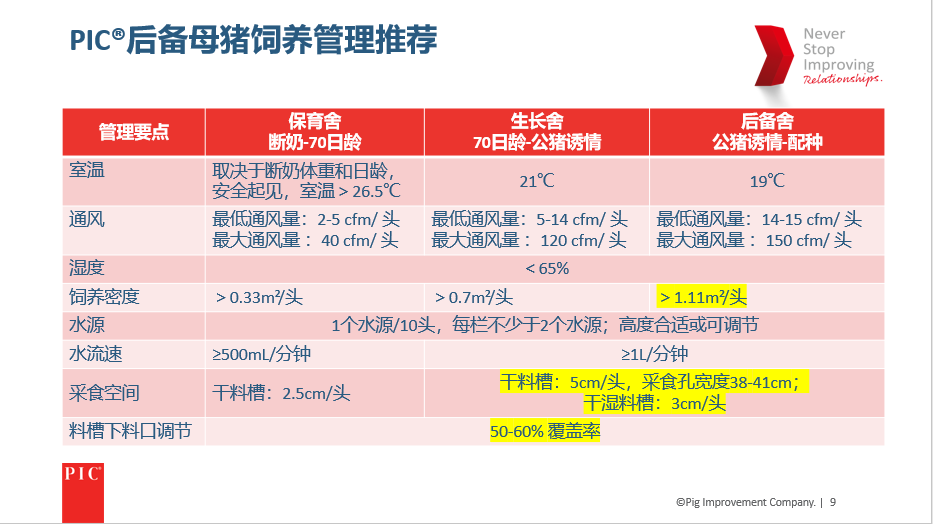 一胎终胎！实现母猪场生产效率最大化要从后备母猪的培育工作开始