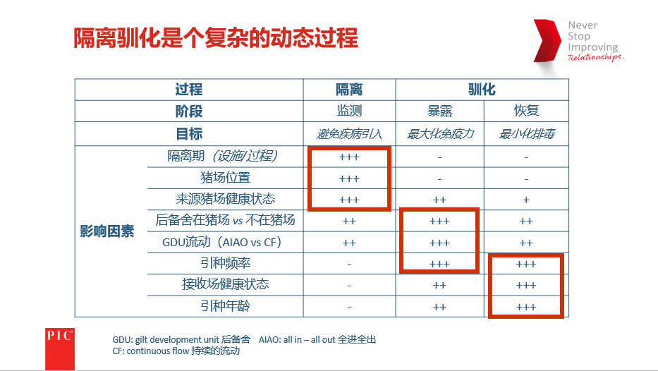 一胎终胎！实现母猪场生产效率最大化要从后备母猪的培育工作开始