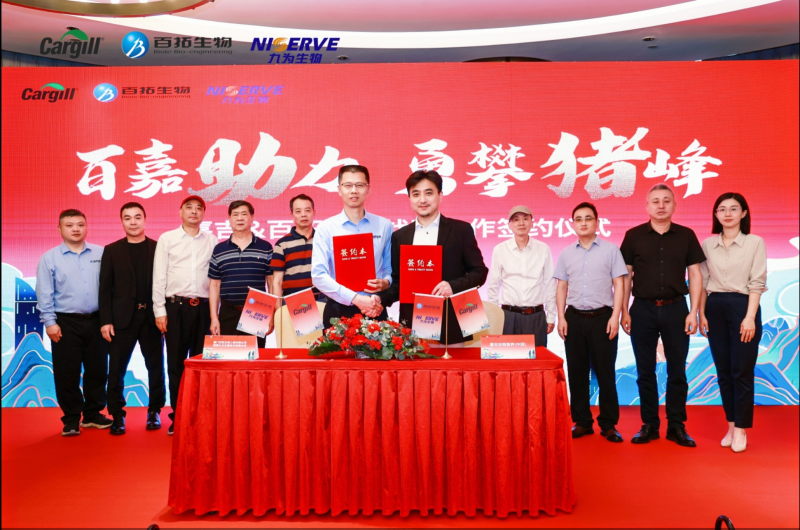 嘉吉与百拓九为战略签约，助力福建猪业走向“三高”！