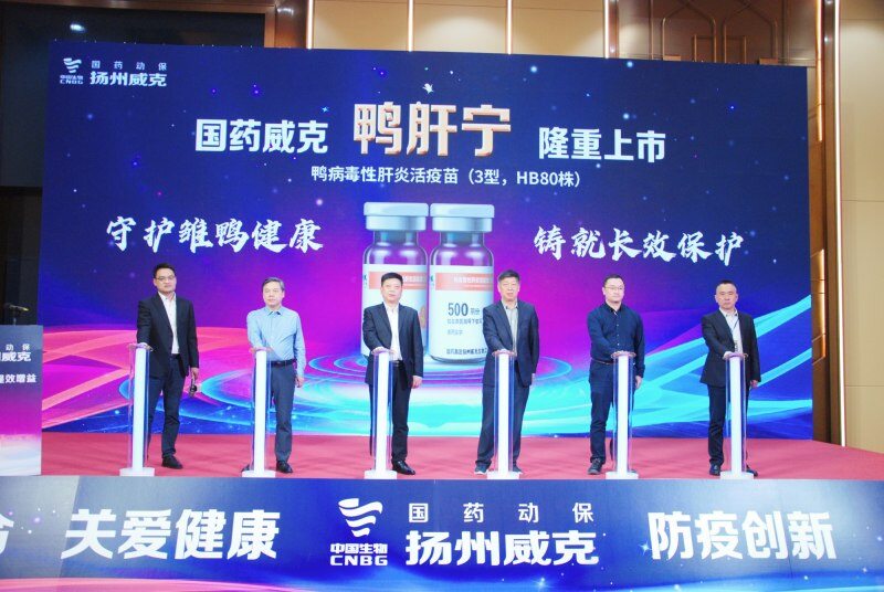 填补行业空白，国内首个鸭病毒性肝炎3型活疫苗在山东潍坊上市