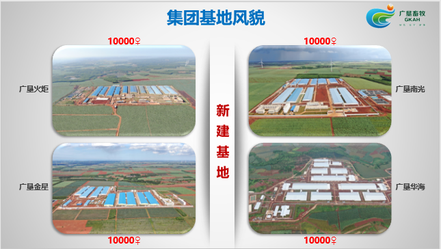 广垦畜牧：母猪健康管理体系建设，科学选址是先决条件