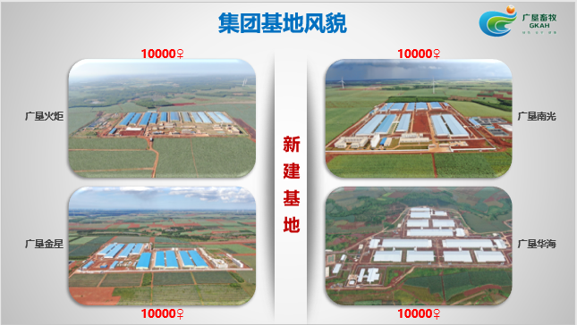 广垦畜牧:母猪健康管理体系建设,科学选址是先决条件