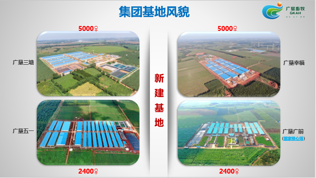 广垦畜牧:母猪健康管理体系建设,科学选址是先决条件