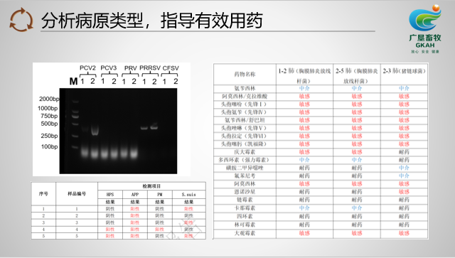 广垦畜牧：母猪健康管理体系建设，科学选址是先决条件