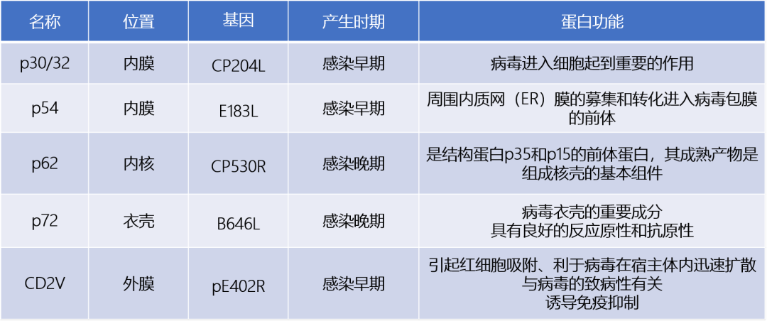 6月28日-30日南农猪会开启！往届回顾：非瘟流行形势与检测技术研究进展