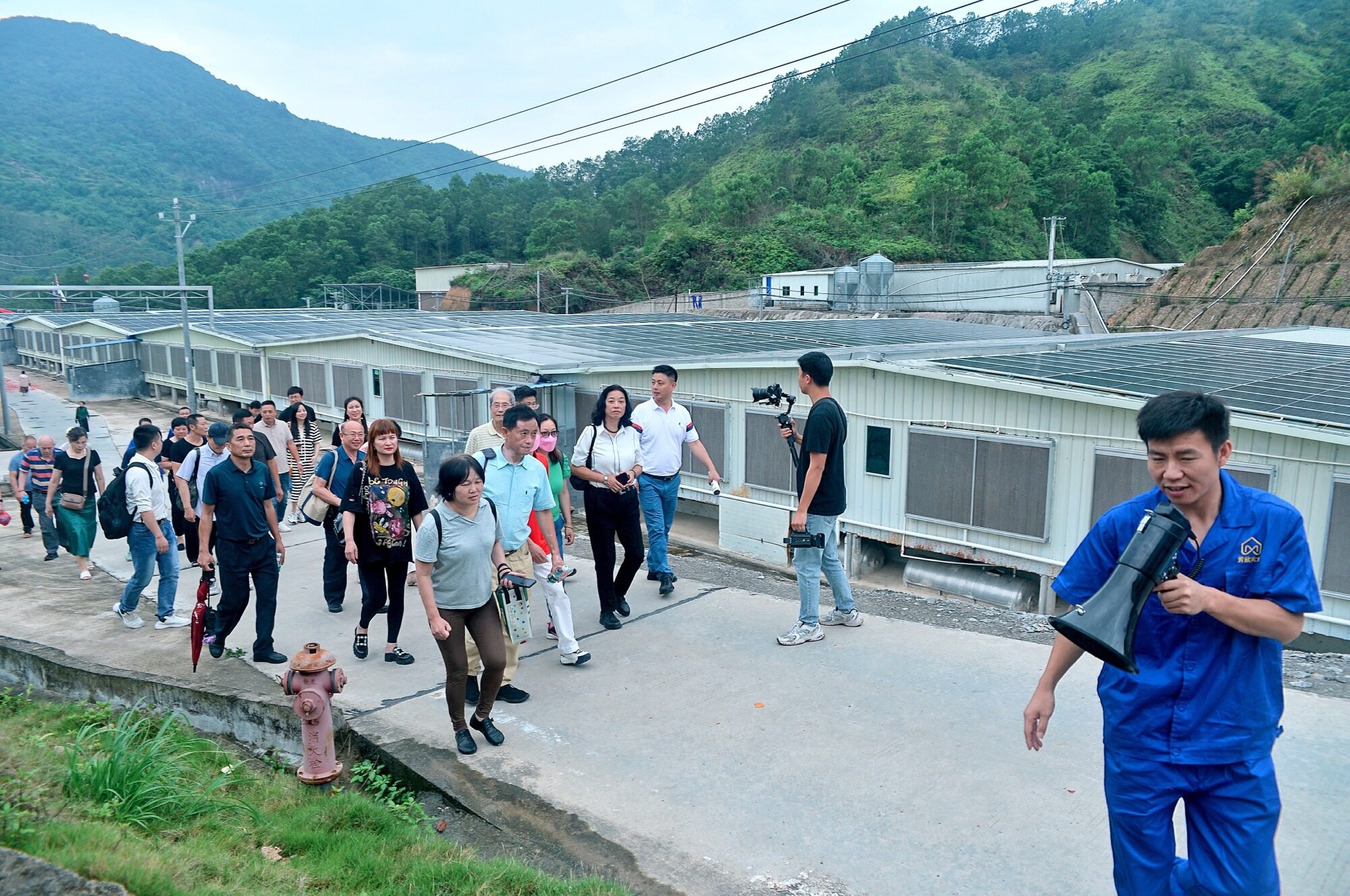 粤东地区规模最大的种猪场揭牌 预计年可出栏生猪12万头 —行大农牧育种添新力量 揭西元华九号扩繁场开业