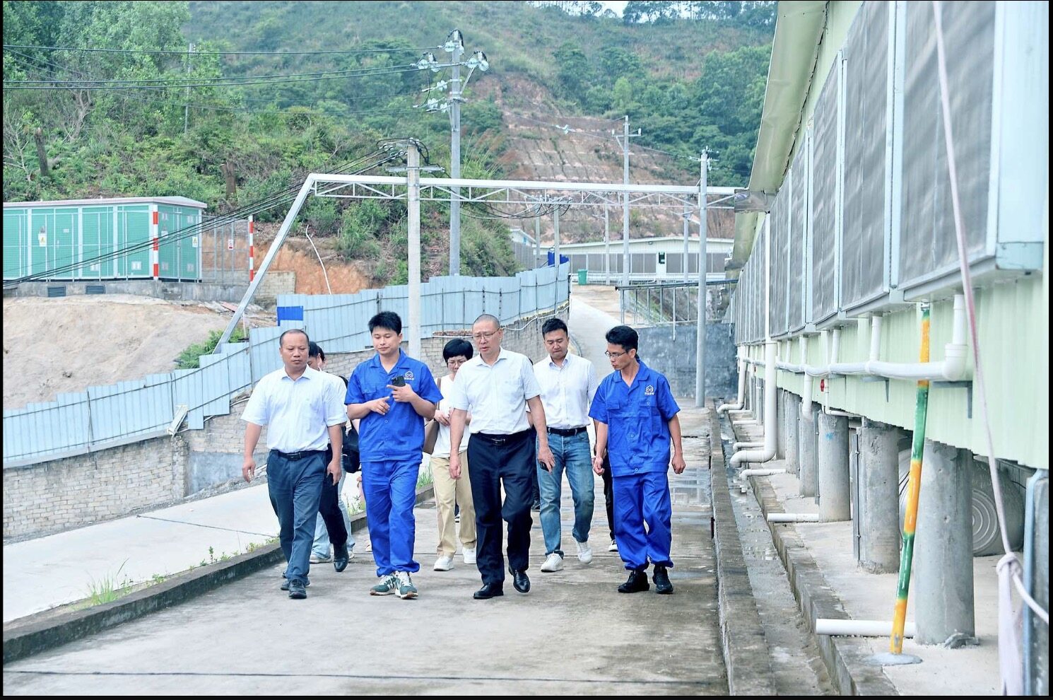 粤东地区规模最大的种猪场揭牌 预计年可出栏生猪12万头 —行大农牧育种添新力量 揭西元华九号扩繁场开业