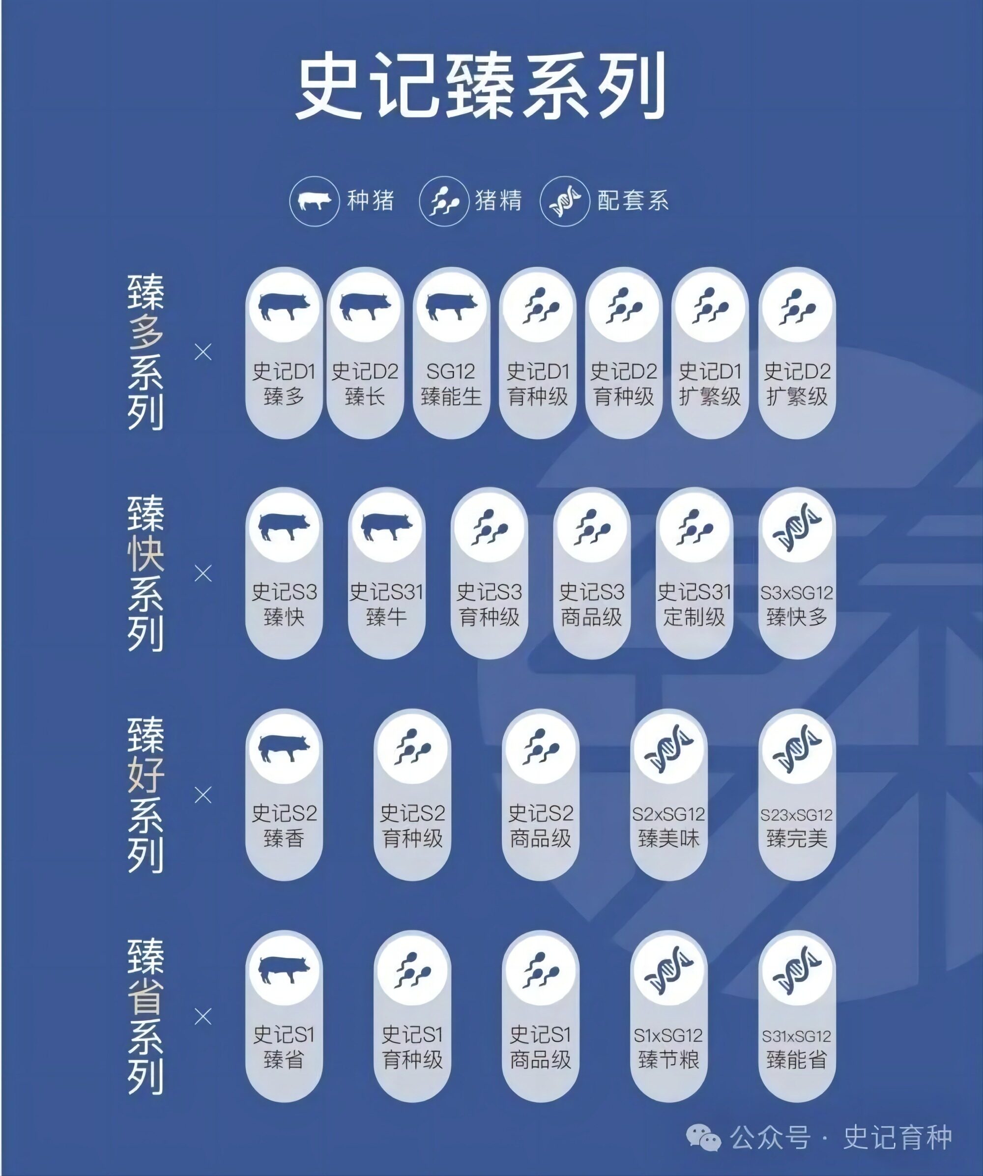 携手广东省农业科学院，史记生物发布《史记种猪营养标准（2024版）》