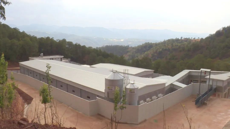 *ST正邦申请摘帽！*ST傲农负债率升至107%，终止部分募投项目以补充流动资金……【正典特约·巨头周事】