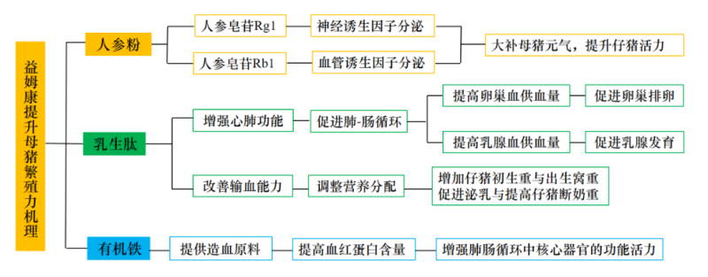 仔猪头均初生重多50g，健仔率提升5%！湖南农大刘自逵讲述，高繁母猪实现高收益的降本之道
