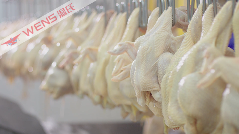 年屠宰2.6亿只，温氏佳润要做“中国黄鸡品牌领导者”