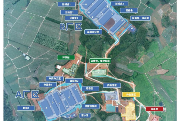 深耕广西！神农集团那隆猪场竣工投产，存栏母猪1.6万头为最大规模种猪场