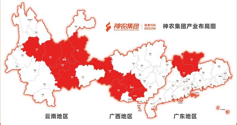 深耕广西！神农集团那隆猪场竣工投产，存栏母猪1.6万头为最大规模种猪场