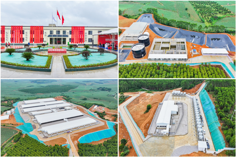 深耕广西！神农集团那隆猪场竣工投产，存栏母猪1.6万头为最大规模种猪场