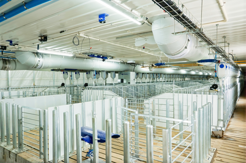 深耕广西！神农集团那隆猪场竣工投产，存栏母猪1.6万头为最大规模种猪场