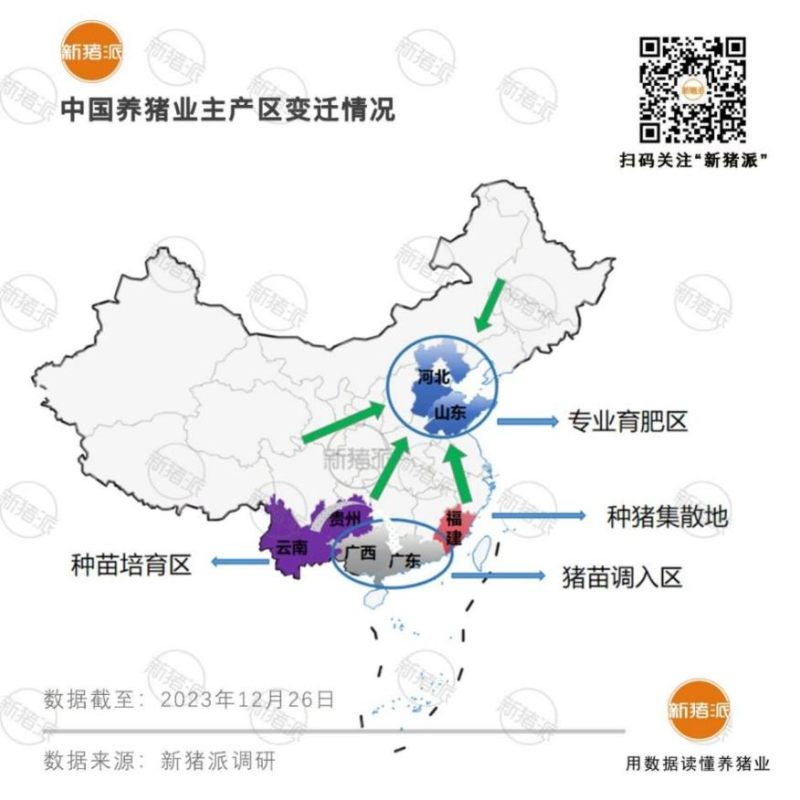 青岛和邦专访丨3万头育肥猪出栏，凭借良好的疫病管理手段提升生产成绩【勃林格特约·智能健康】