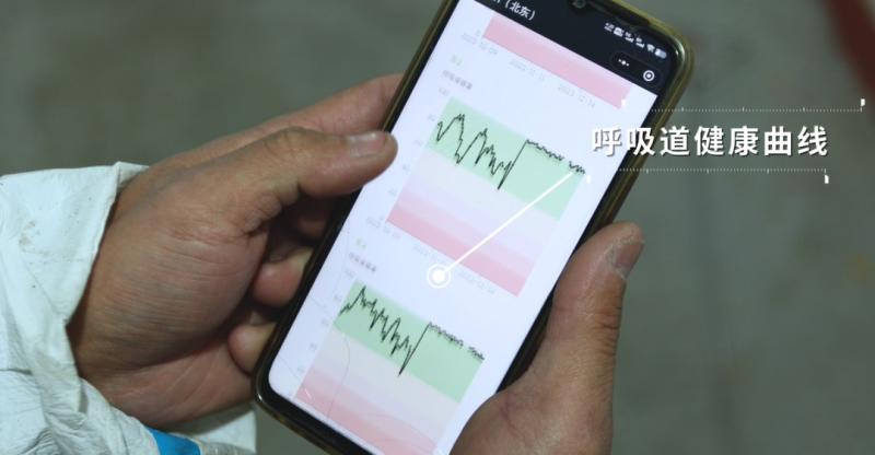 青岛和邦专访丨3万头育肥猪出栏，凭借良好的疫病管理手段提升生产成绩【勃林格特约·智能健康】