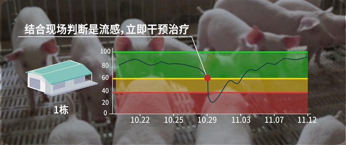 青岛和邦专访丨3万头育肥猪出栏，凭借良好的疫病管理手段提升生产成绩【勃林格特约·智能健康】