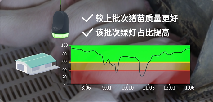 青岛和邦专访丨3万头育肥猪出栏，凭借良好的疫病管理手段提升生产成绩【勃林格特约·智能健康】