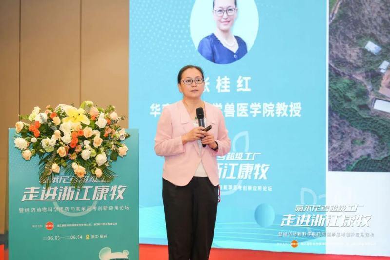 全球最大氟苯尼考超级工厂内部大曝光！康牧动保发起大单品药物原料制剂一体化降本革命