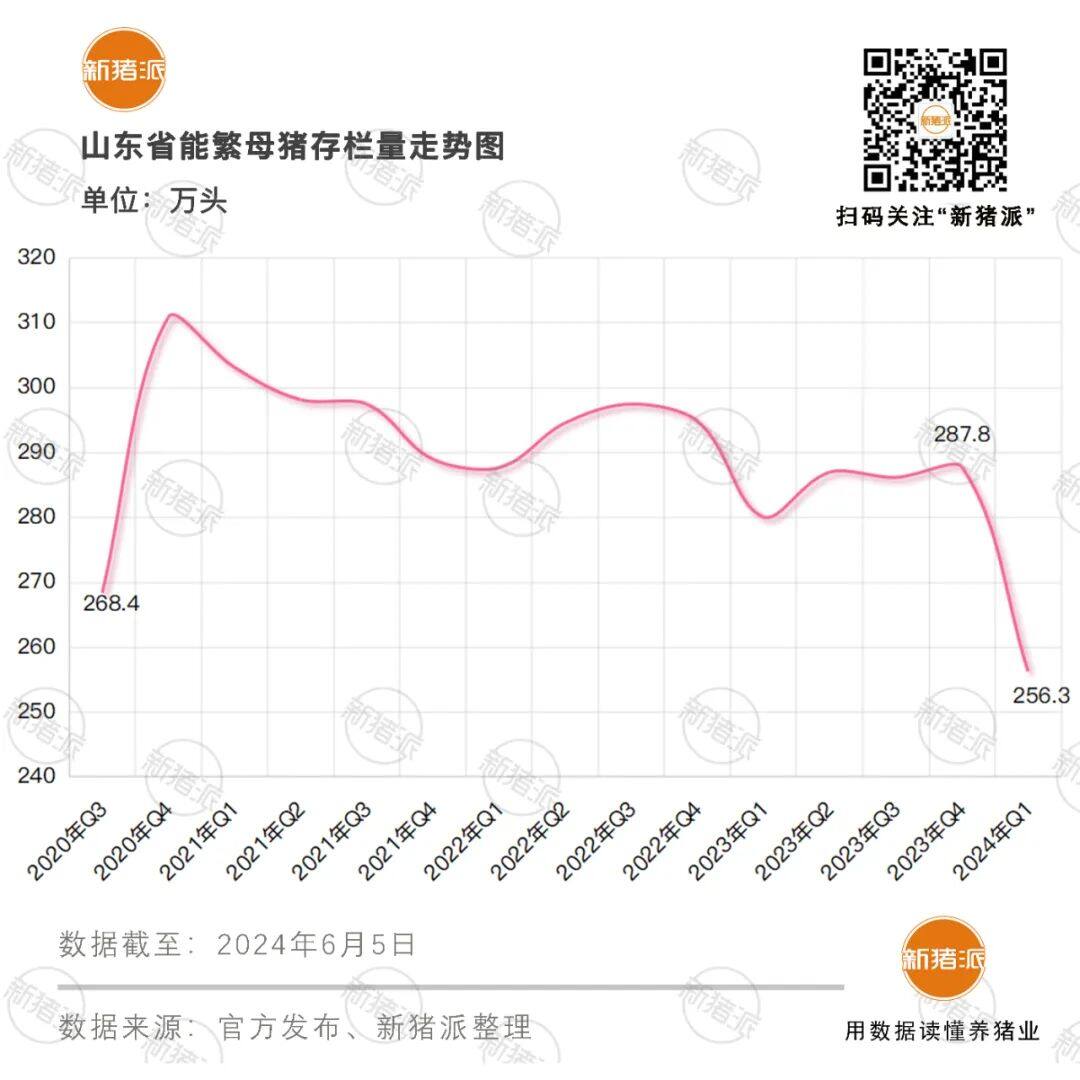 万头母猪企业仅剩9家！山东养猪业大变局，新希望、禾邦、温氏、环山…11家公司放养规模超600万头【申联特约·数说猪业】