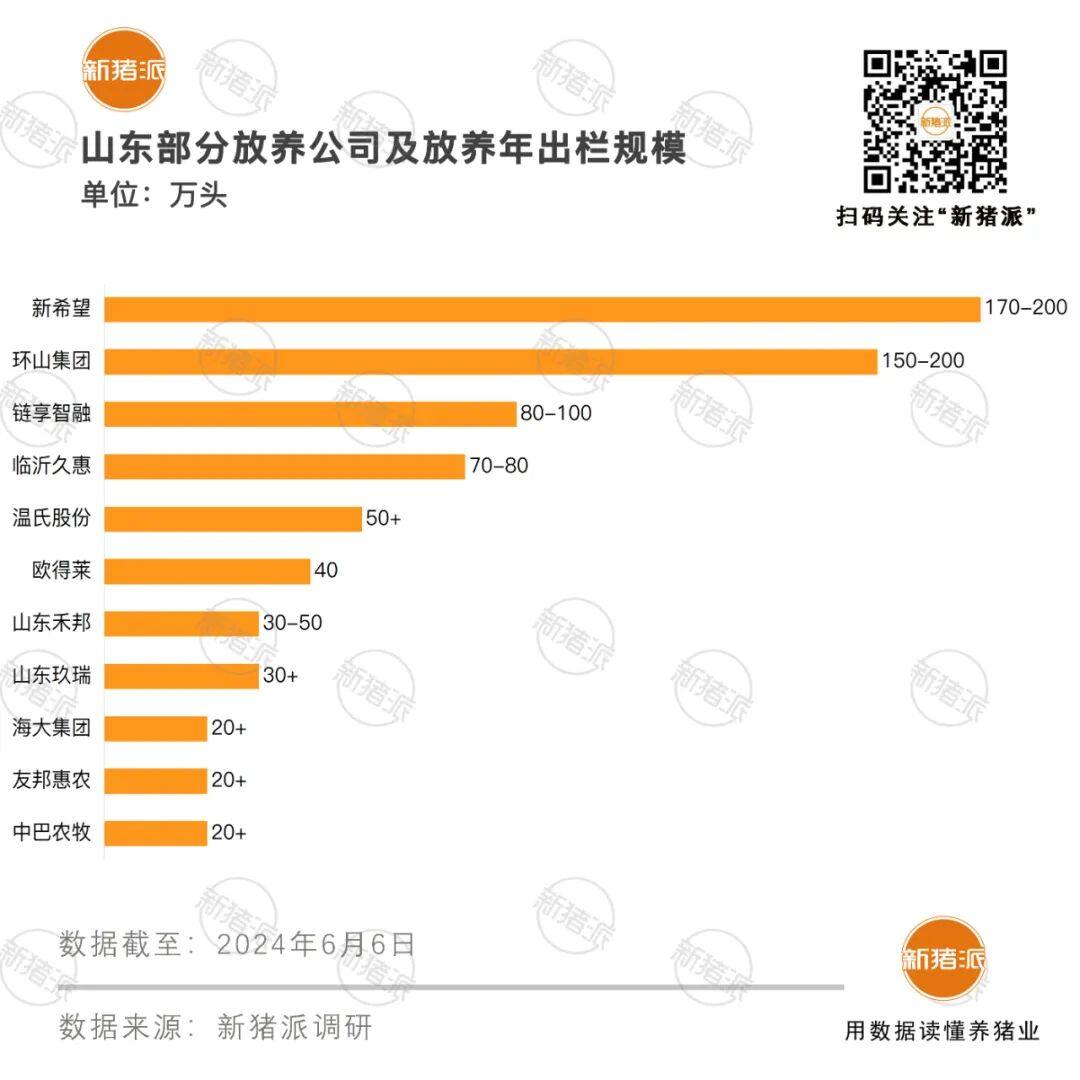 万头母猪企业仅剩9家！山东养猪业大变局，新希望、禾邦、温氏、环山…11家公司放养规模超600万头【申联特约·数说猪业】