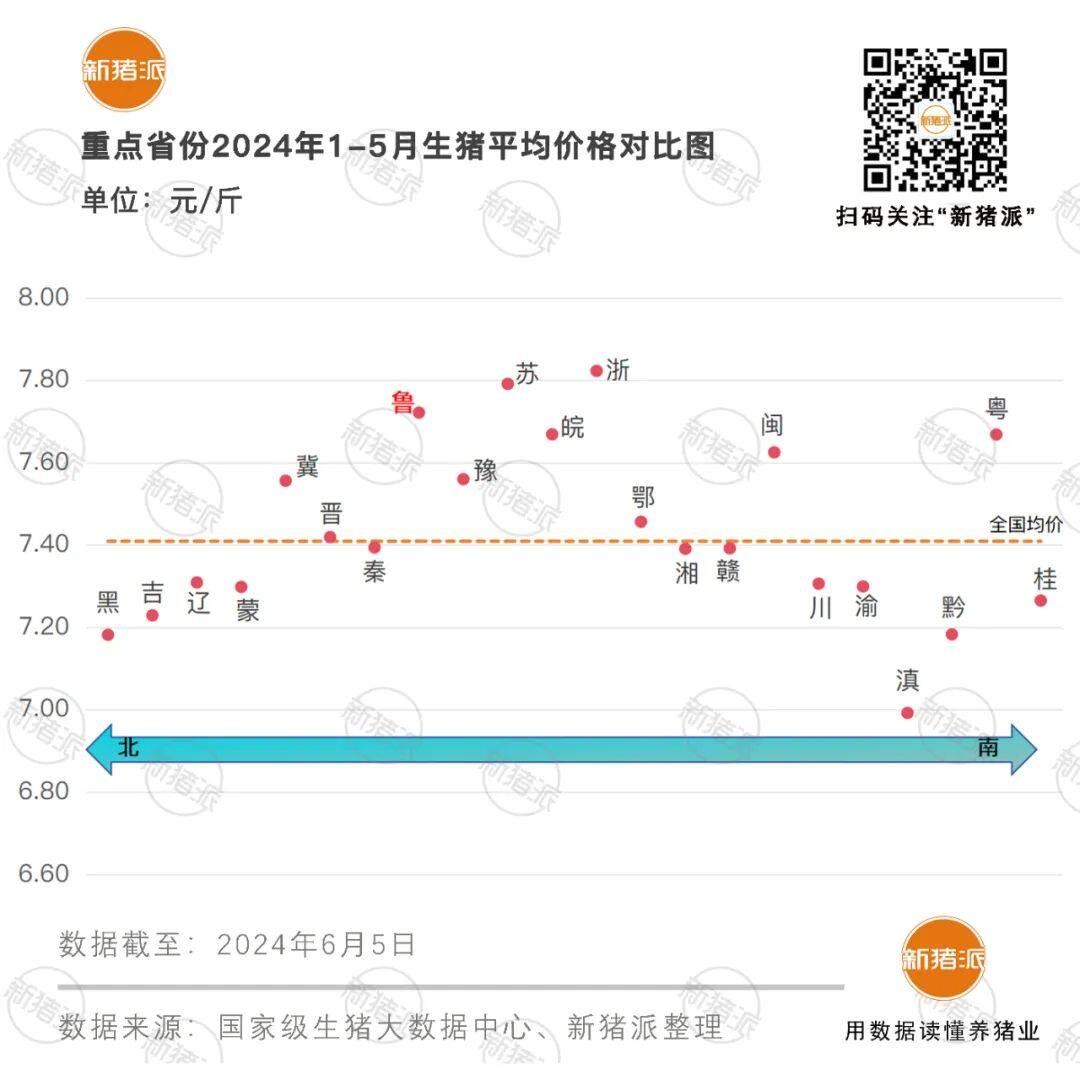 万头母猪企业仅剩9家！山东养猪业大变局，新希望、禾邦、温氏、环山…11家公司放养规模超600万头【申联特约·数说猪业】