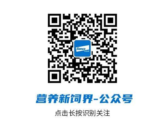 清凉一夏“强拜杯”抗应激知识挑战赛来啦，速速查收这份通关秘籍！