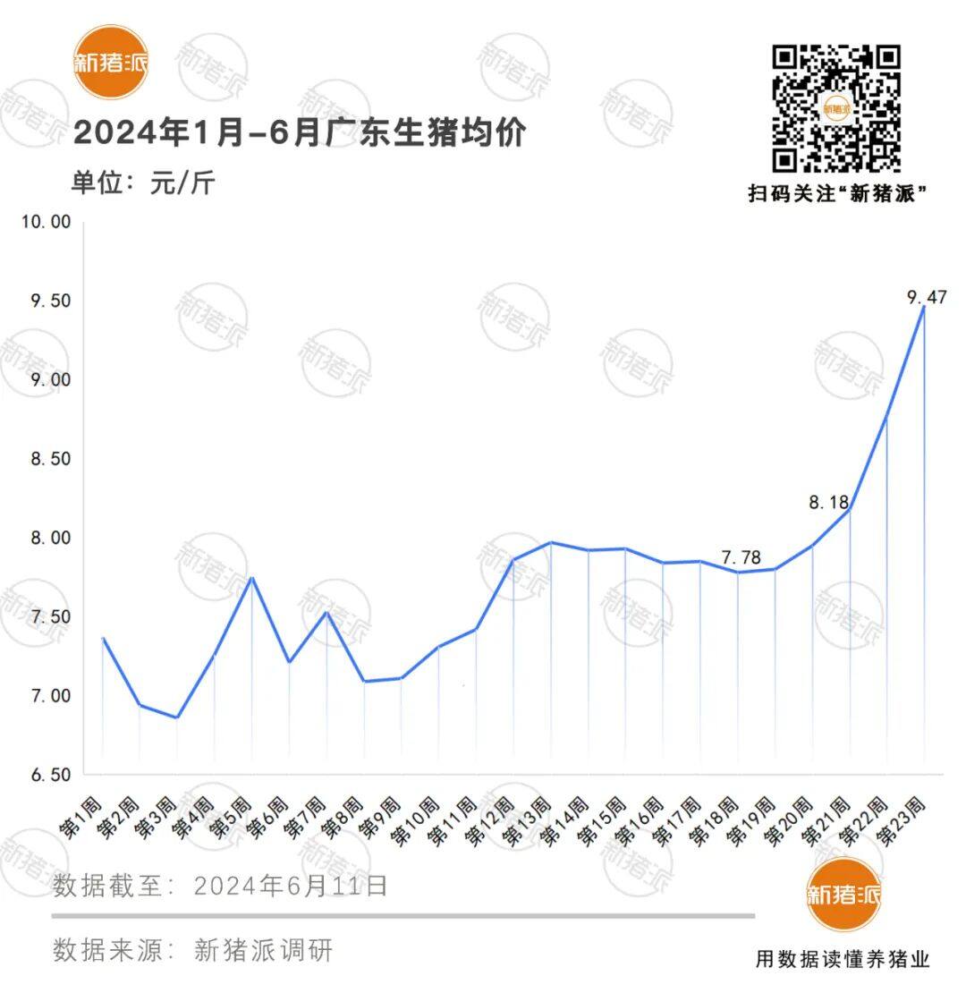 牧原9.4亿、温氏4.7亿、新希望1亿……5月猪企业绩全面飘红，牧原有望年底实现6.5元/斤成本目标【申联特约·数说猪业】