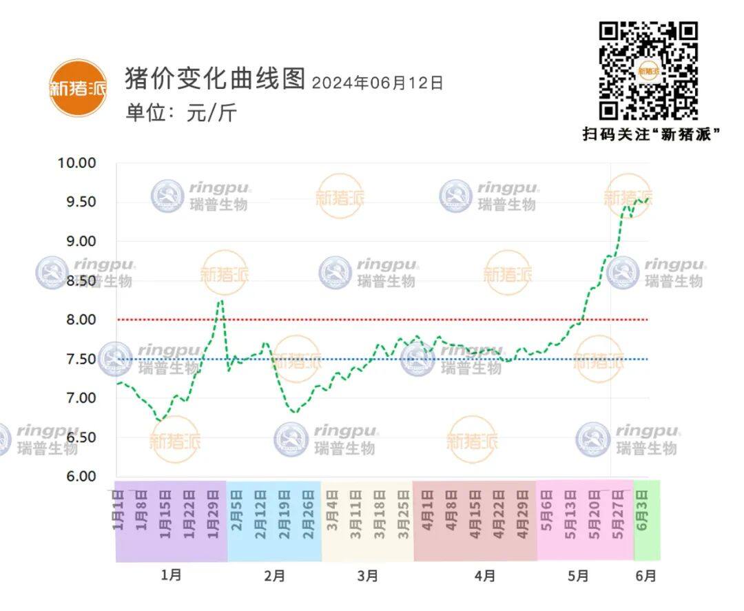 6月12日：震荡调整，山东最高9.94元/斤【瑞普生物·猪价指数】