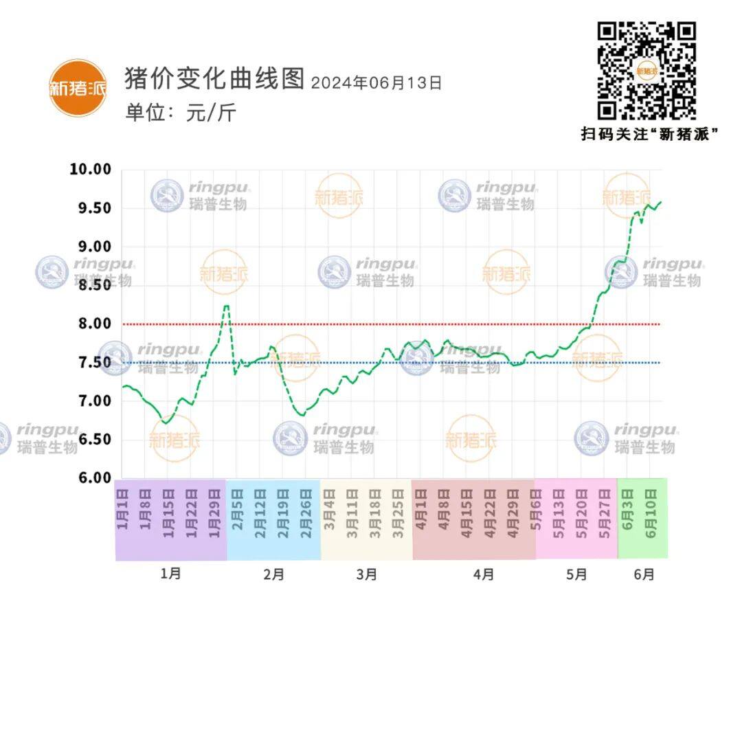 6月13日：多地小幅上漲，江蘇10元/斤【瑞普生物·豬價指數】