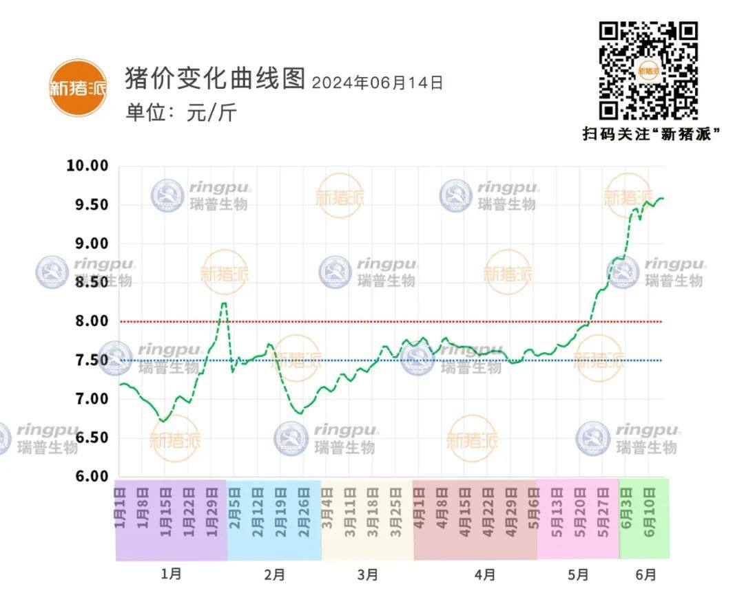 6月14日：震荡调整，江苏9.93元/斤【瑞普生物·猪价指数】