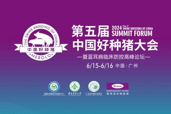 3000头GP场维持蓝耳双阴年收益增加近千万！美保龙发起健康无蓝好种猪“保卫战”