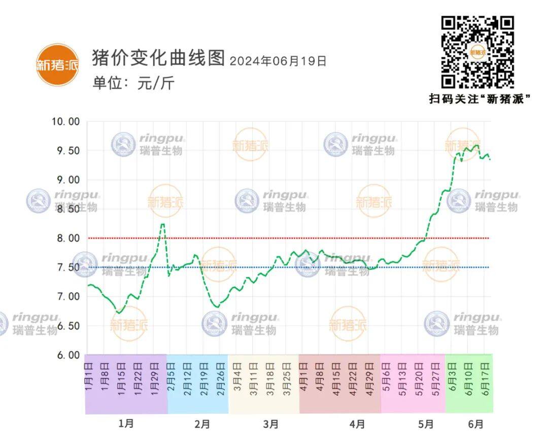 6月19日：全线下跌，福建最高9.75元/斤【瑞普生物·猪价指数】