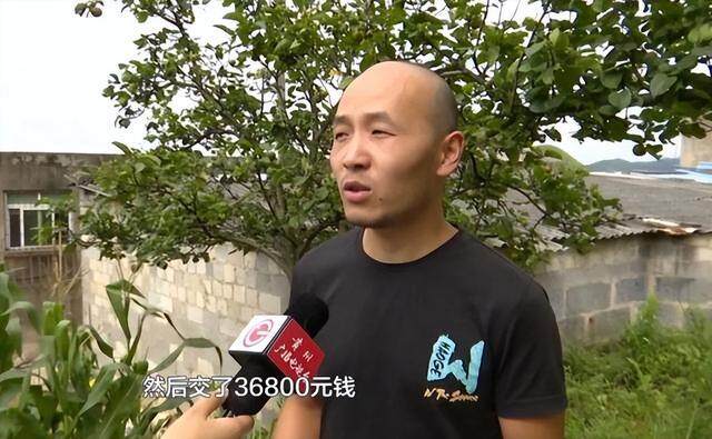 低投资年赚百万？贵阳大哥养殖这种鸡，如今懊悔：根本卖不出去