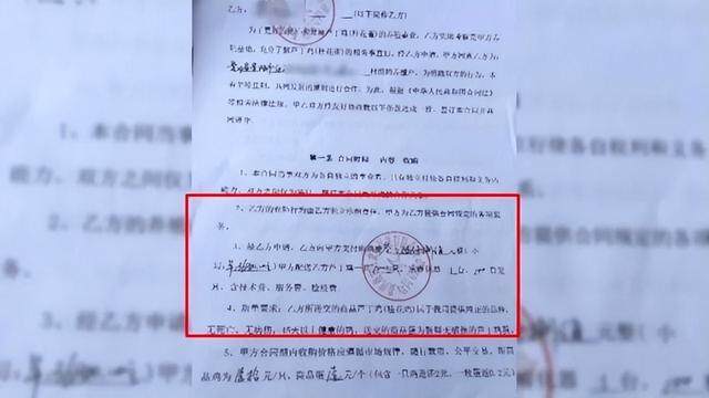 低投资年赚百万？贵阳大哥养殖这种鸡，如今懊悔：根本卖不出去