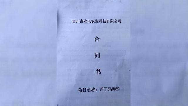 低投资年赚百万？贵阳大哥养殖这种鸡，如今懊悔：根本卖不出去