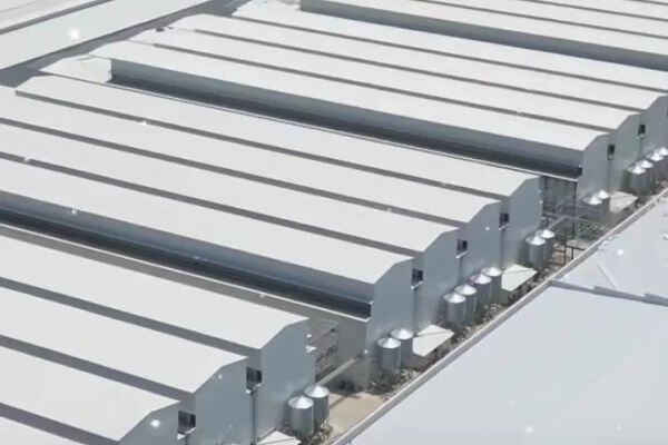 晋龙蛋鸡产能2080万羽，总笼位全国Top2