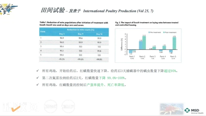 平均感染率超60%！每年损失高达1.2亿元！氟雷拉纳助力解决中国家禽红螨问题