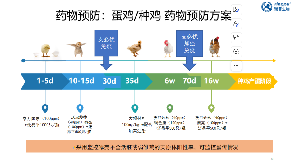 传支、支原体、鸭疫里默氏杆菌是造成蛋鸡产蛋无高峰的重要原因，支必优疫苗助力解决蛋鸡产蛋无高峰问题