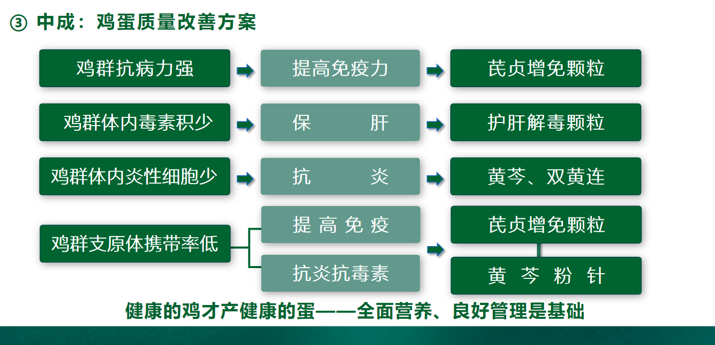 “药守正•蛋有品”——中兽药从三大方面助力品牌蛋高质量发展