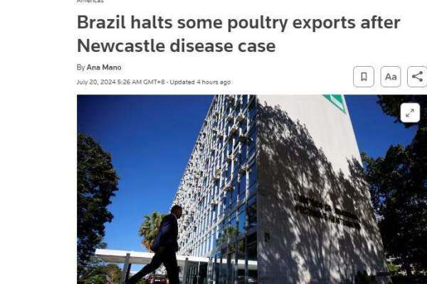 巴西突发新城疫！暂停对中国鸡肉出口，或拉涨白鸡价格......