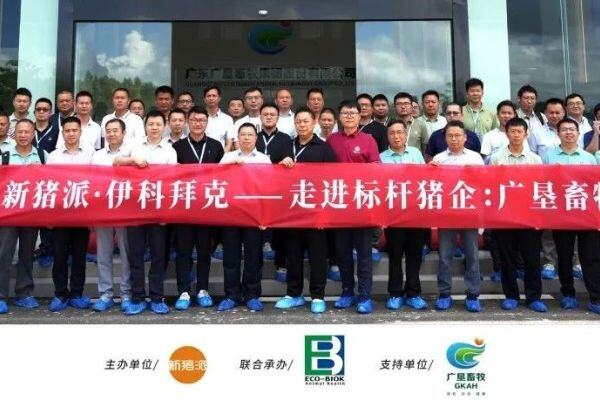【报道】走进标杆猪企：广垦畜牧 蓝耳直接影响数百元养猪成本！标杆猪企分享蓝耳防控措施与成效