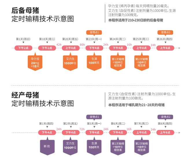 聚焦！100+猪场批次化真实案例！万头母猪场生产管理难题，方案引导猪场效益提升