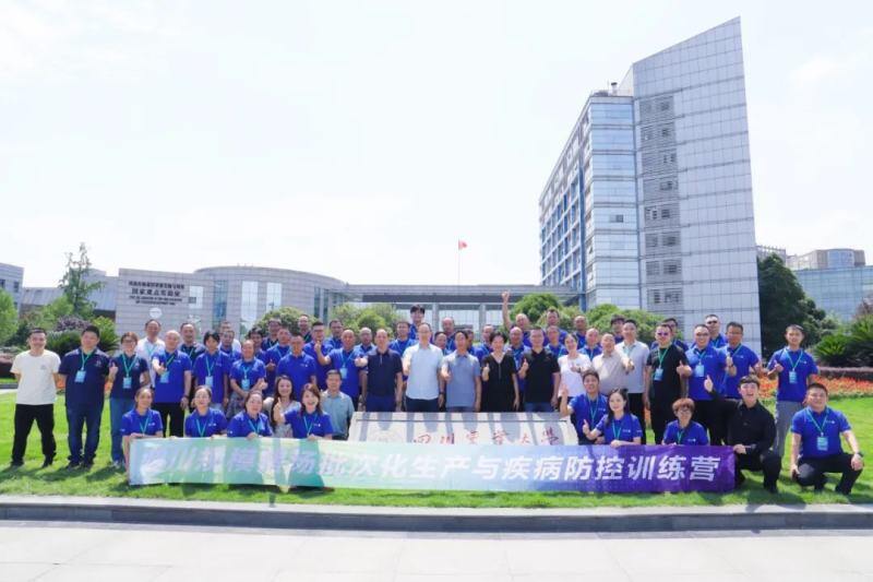 聚焦!100+猪场批次化真实案例!万头母猪场生产管理难题,方案引导猪场效益提升