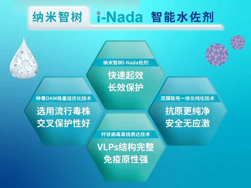 杆状病毒表达系统、纳米智树水佐剂！申联生物“联圆净”摆平圆环，增效百元！